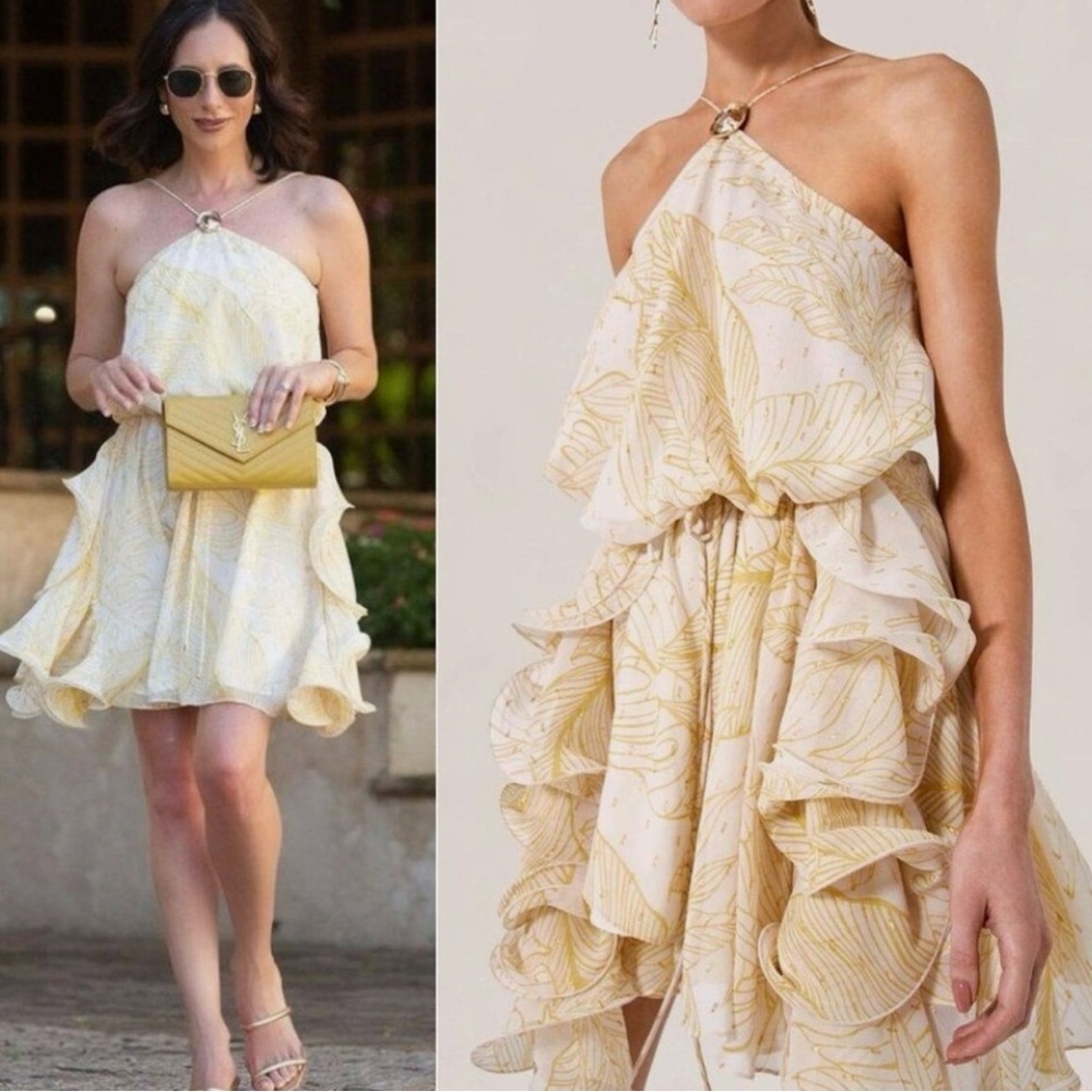 Alexis Asia Georgette Mini Dress